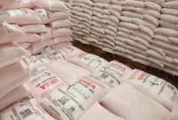 Kapasitas produksi PT Pupuk Indonesia mencapai 14,8 juta ton per tahun dengan potensi ekspor 1,5 hingga 2 juta ton setelah kebutuhan petani dalam negeri terpenuhi.(foto: ist)