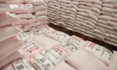 Pupuk Indonesia Jamin Stok Nasional Aman, Petani Lampung Makin Mudah Dapat Pupuk Murah