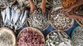 Maraknya peredaran ikan asin berformalin yang menggunakan pengawet kimia berbahaya bagi kesehatan.(Foto: Ant)