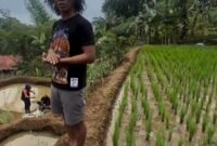 Kaka Slank sangat tertarik dengan dunia pertanian organik dan menerapkannya di lahan luas miliknya di Bogor. (Foto: ist)