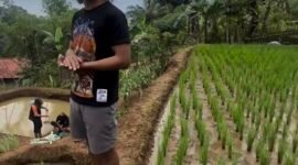 Kaka Slank sangat tertarik dengan dunia pertanian organik dan menerapkannya di lahan luas miliknya di Bogor. (Foto: ist)