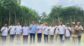 PTPN Penyiapan 10.000 hektare lahan di Lampung dan Sumsel serta penguatan sinergi hulu-hilir.(foto: ist)