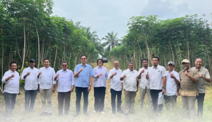 PTPN Penyiapan 10.000 hektare lahan di Lampung dan Sumsel serta penguatan sinergi hulu-hilir.(foto: ist)