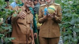Panen raya melon varietas Intanon dan Sweet Net 9 di SMKN SPP Lampung, Natar. (Foto: ist)