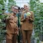 Panen raya melon varietas Intanon dan Sweet Net 9 di SMKN SPP Lampung, Natar. (Foto: ist)