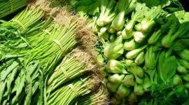 Meningkatkan pola konsumsi sayuran melalui program makan bergizi gratis (MBG). (Foto: ist)