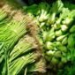 Meningkatkan pola konsumsi sayuran melalui program makan bergizi gratis (MBG). (Foto: ist)