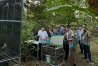 Sebanyak 942 ekor burung dilepasliarkan di Tahura Wan Abdul Rachman dalam rangka Road To HKAN 2026.(Foto: ist)