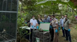 Sebanyak 942 ekor burung dilepasliarkan di Tahura Wan Abdul Rachman dalam rangka Road To HKAN 2026.(Foto: ist)