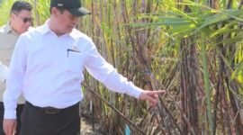 Mentan mendorong percepatan hilirisasi perkebunan menjadi produk turunan bernilai tinggi dan sumber energi terbarukan (biofuel).