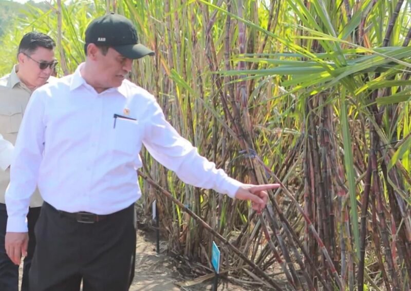 Mentan mendorong percepatan hilirisasi perkebunan menjadi produk turunan bernilai tinggi dan sumber energi terbarukan (biofuel).