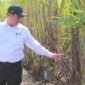 Mentan mendorong percepatan hilirisasi perkebunan menjadi produk turunan bernilai tinggi dan sumber energi terbarukan (biofuel).