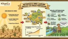 Pengoperasian 1.222 unit irigasi perpompaan dan optimalisasi lahan melalui irigasi perpipaan serta alsintan sebagai antisipasi El Nino Lampung. (Ilustrasi: Kitani.id)