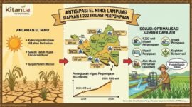 Pengoperasian 1.222 unit irigasi perpompaan dan optimalisasi lahan melalui irigasi perpipaan serta alsintan sebagai antisipasi El Nino Lampung. (Ilustrasi: Kitani.id)