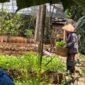 Bertani hortikultura bisa menjadi alternatif mendongkrak kesejahteraan petani padi di Lampung. (Foto: Kitani.id)