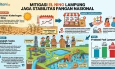 Mitigasi El Nino Lampung Jaga Stabilitas Pangan Nasional