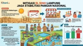 Ancaman kekeringan ekstrem akibat fenomena El Nino diprediksi melanda Lampung pada Mei hingga September 2026.(ilustrasi: Kitani.id)