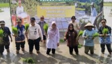 Kegiatan tanam serentak Provinsi Lampung yang dipusatkan di Kabupaten Mesuji. (Foto: ist)