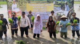 Kegiatan tanam serentak Provinsi Lampung yang dipusatkan di Kabupaten Mesuji. (Foto: ist)