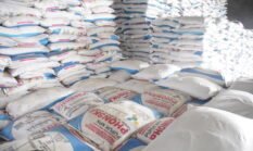 Kebijakan Presiden Turunkan Harga Pupuk Jaga Ketahanan Pangan Nasional
