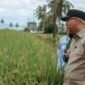 Gubernur Mirza menyampaikan komitmen Lampung Dukung Swasembada Pangan Nasional menjadi fondasi utama dalam menjaga stabilitas wilayah.
